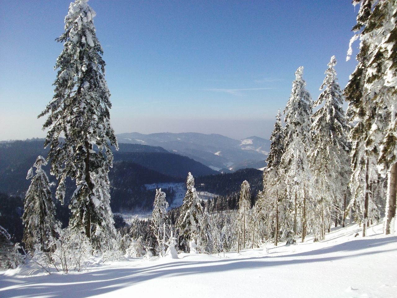 snow, winter, cold temperature, season, tree, tranquil scene, tranquility, scenics, weather, beauty in nature, mountain, nature, covering, landscape, blue, white color, snowcapped mountain, frozen, clear sky, sky