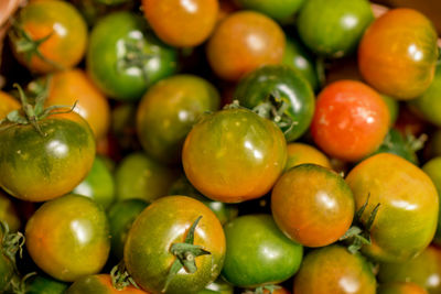 Close-up of multi colored fresh tomatoes at market