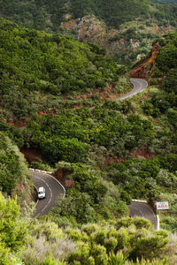 High angle view of trees on landscape