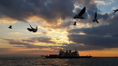 Silhouette birds flying over sea against sky during sunset