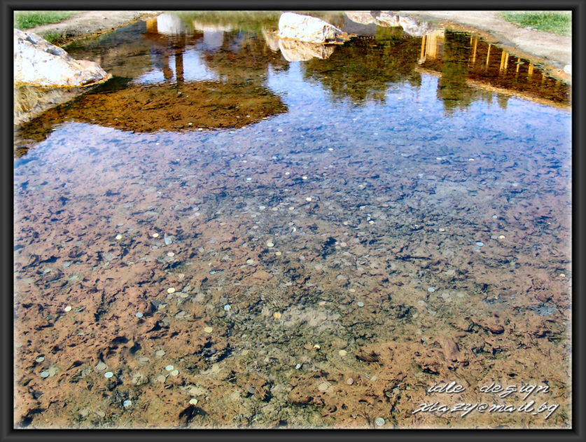 REFLECTION OF TREES IN WATER ON WATER