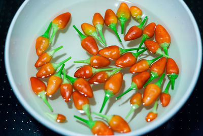 High angle view of salad in plate