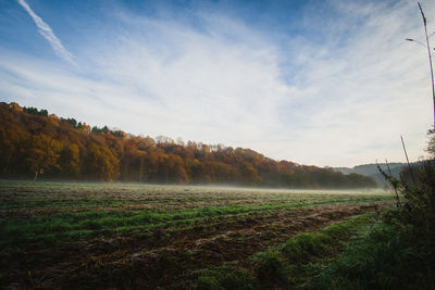 Scenic view of field against sky