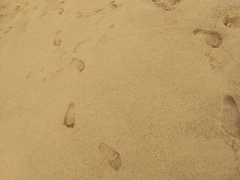 High angle view of footprints on sand at beach