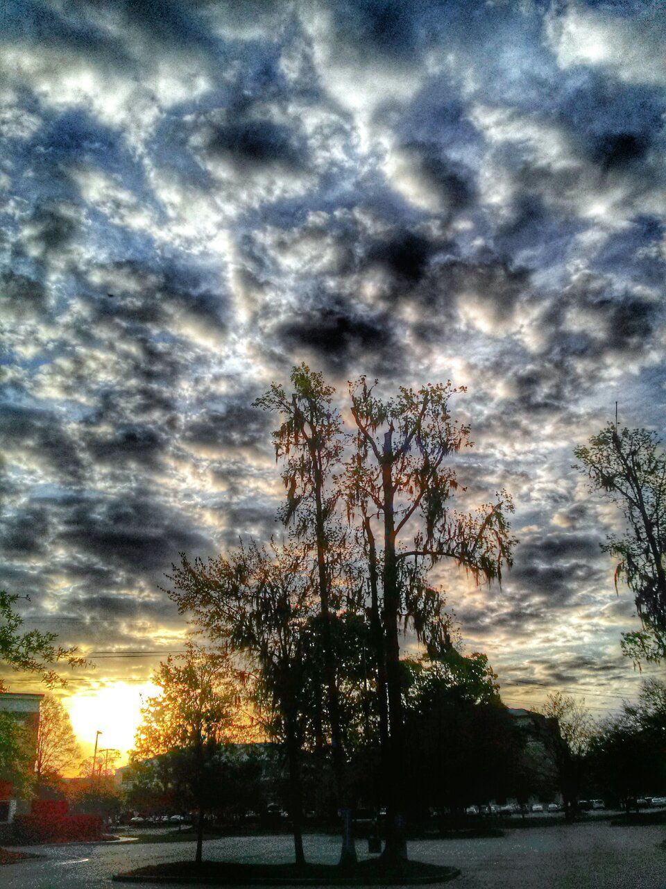 sky, cloud - sky, tree, cloudy, sunset, tranquility, silhouette, tranquil scene, scenics, beauty in nature, nature, cloud, overcast, weather, dramatic sky, bare tree, idyllic, landscape, field, road