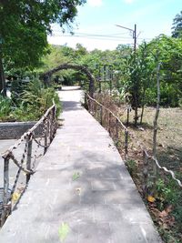 Footpath amidst trees against sky