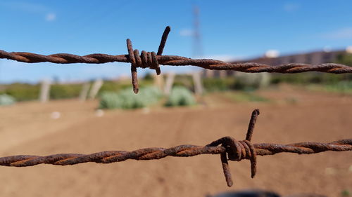 Close-up of rusty barbed wire on field