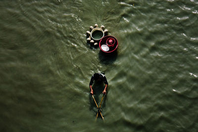 High angle view of swan swimming in lake