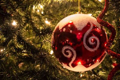 Extreme close up of christmas tree