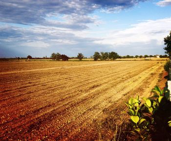 Scenic view of field against cloudy sky