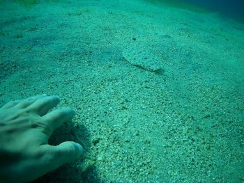 Low section of person on sea shore