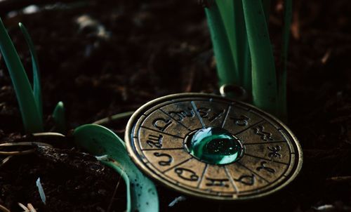 Close-up of old clock on potted plant