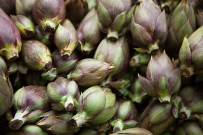 Full frame shot of artichoke for sale at market