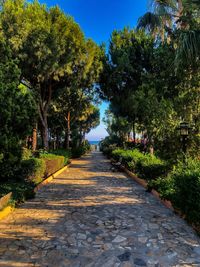 Empty road along trees