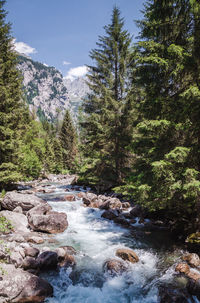 Stream flowing through rocks in forest