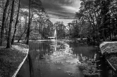 Scenic view of lake in forest against sky