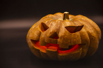 Close-up of pumpkin against black background