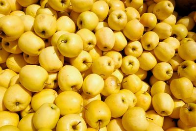 Full frame shot of oranges