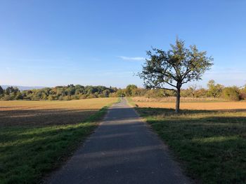 Road amidst trees on field against sky