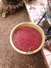 High angle view of red chili peppers in container