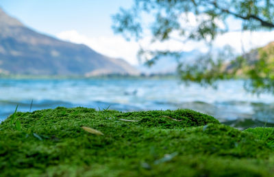 Scenic view of lake and mountains