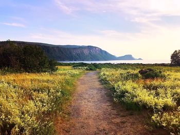 Scenic view of landscape against sky