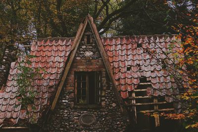 Low angle view of house amidst trees in forest