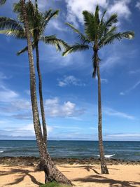 Coconut palm trees on beach against sky