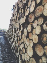 Full frame shot of logs