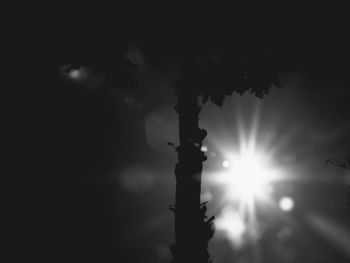 Low angle view of silhouette trees against sky at night