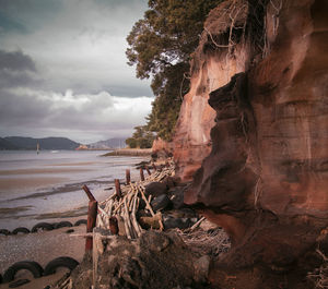 Driftwood on beach by sea against sky