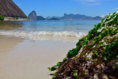 Scenic view of sea