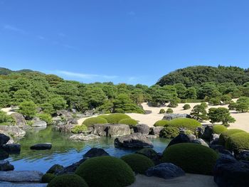 Scenic view of trees against clear blue sky