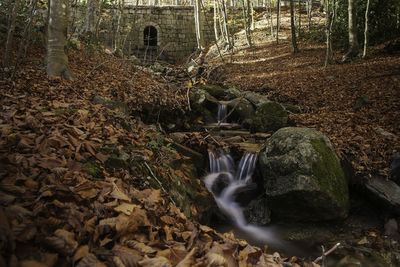 Stream flowing through rocks in forest