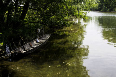 Scenic view of river amidst trees