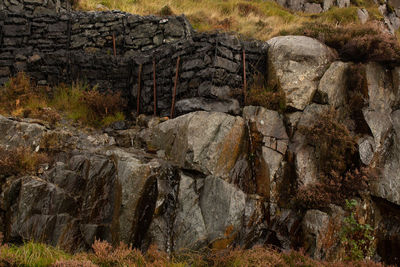 Rock formation in water at forest