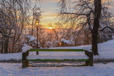 Bare trees on snow covered landscape during sunset