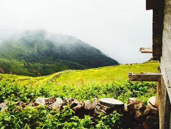 Scenic view of field and mountains against sky