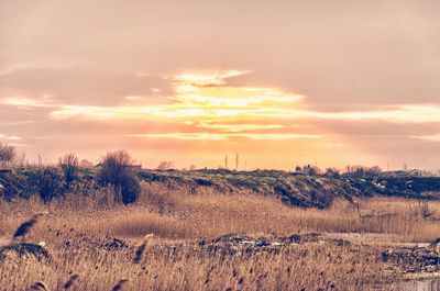 Scenic view of landscape against sky