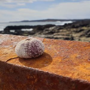 Close-up of rocks on beach against sky