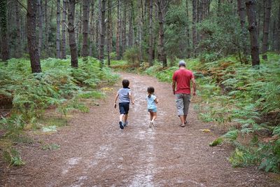Rear view of family walking on footpath in forest