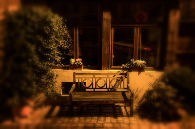 Potted plants on table at night