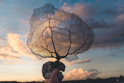 Midsection of woman holding umbrella against sky during sunset