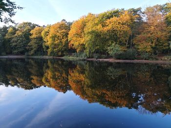 Reflection of trees on lake during autumn