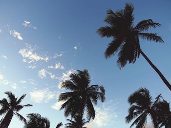 Low angle view of palm trees against clear sky