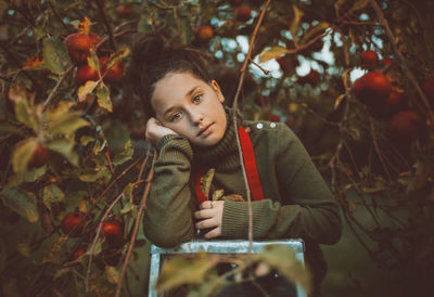 Portrait of a young girl on a ladder picking apples from her apple tree