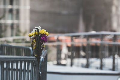 Close-up of flower pot against blurred background