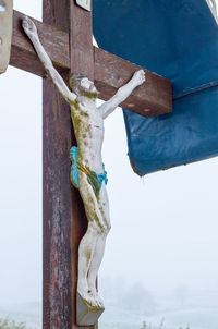 Close-up of dragon hanging on wood against sky