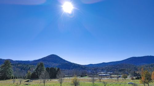 Scenic view of field against clear blue sky