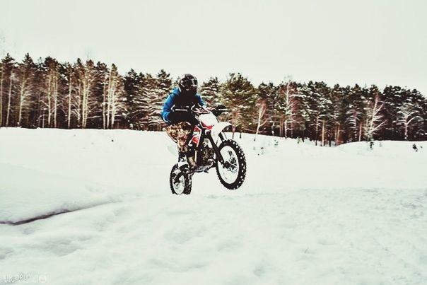 snow, winter, cold temperature, lifestyles, leisure activity, bicycle, season, men, transportation, full length, riding, weather, mode of transport, extreme sports, tree, land vehicle, adventure, unrecognizable person